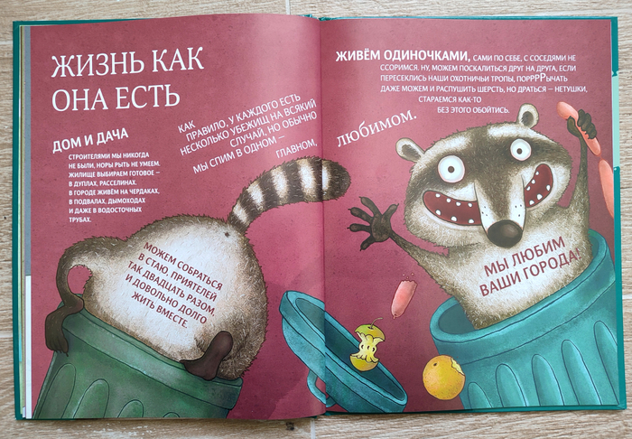 Чем хороши еноты