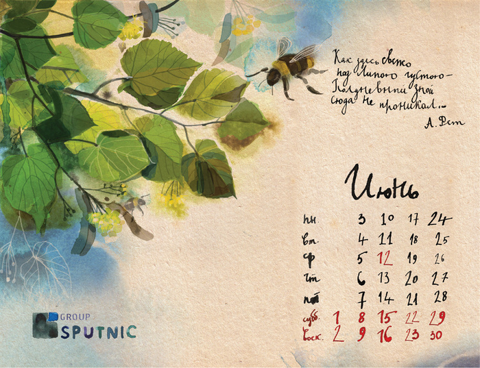 Липа в июне.