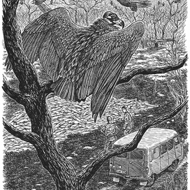 Удобрение для плантации марихуаны.