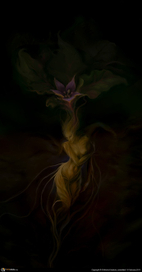 Mandragora autumnalis