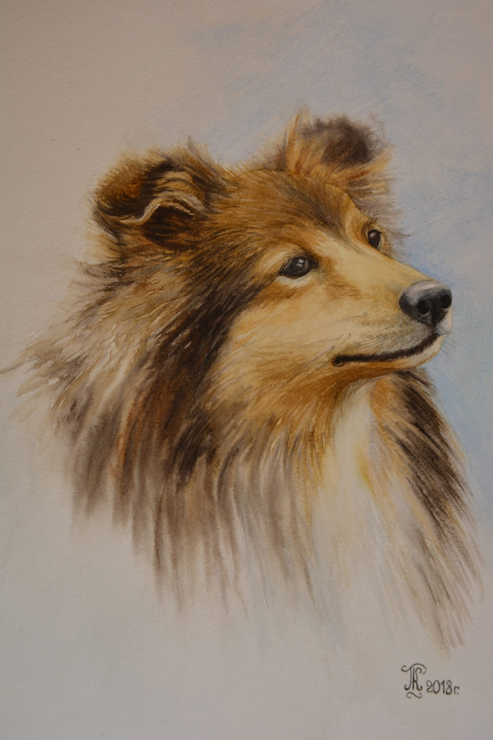 Лучьший друг