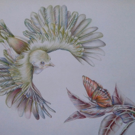 полет навстречу