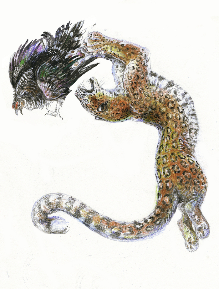 Леопард и дикуша