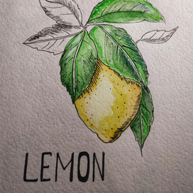 Лимонный скетч