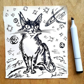 Космический кот