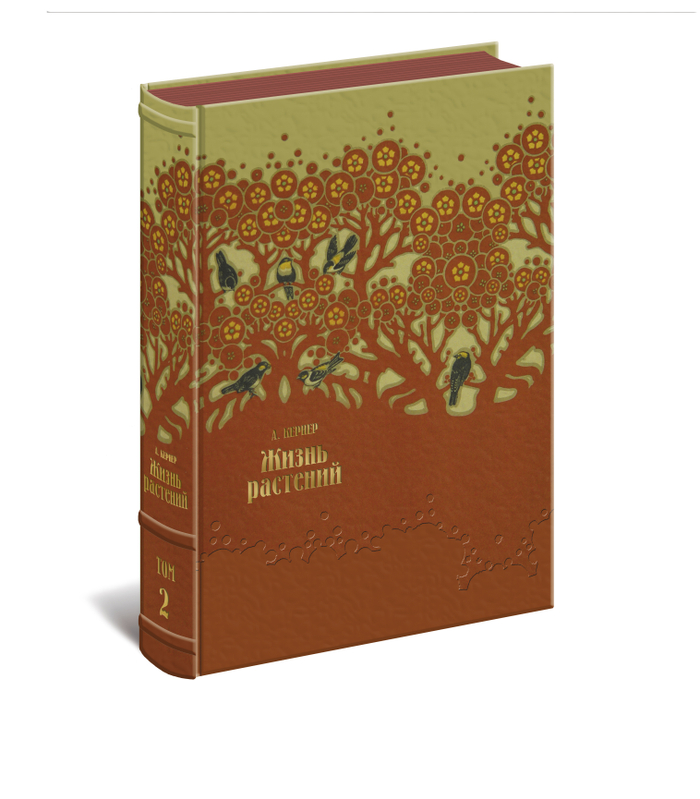 Жизнь растений