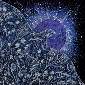 "Ночные травы"