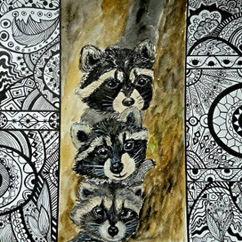 Друзья енотики