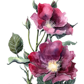 "Цветы для мамы", 2015