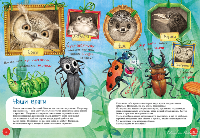 Иллюстрация к книге " Я-Жук"