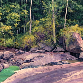 Лесной ручей