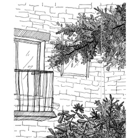 во время прогулки