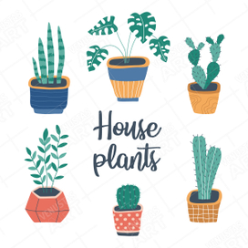 Домашние растения. Векторная иллюстрация