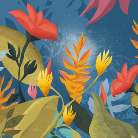 Полночь в саду