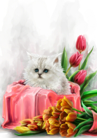 Котя в каработе