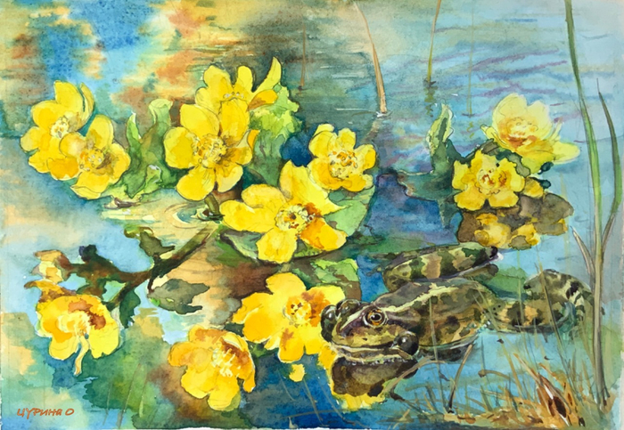 Лягушачий концерт, Георгий Скребицкий «Зеленый шум» 