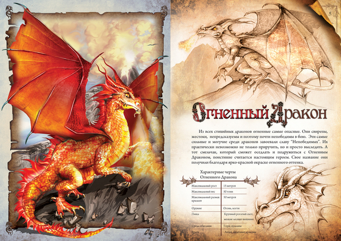 Иллюстрация к книжке про драконов