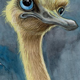 страусёнок