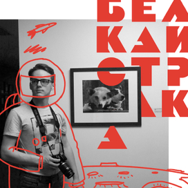 белка и стрелка