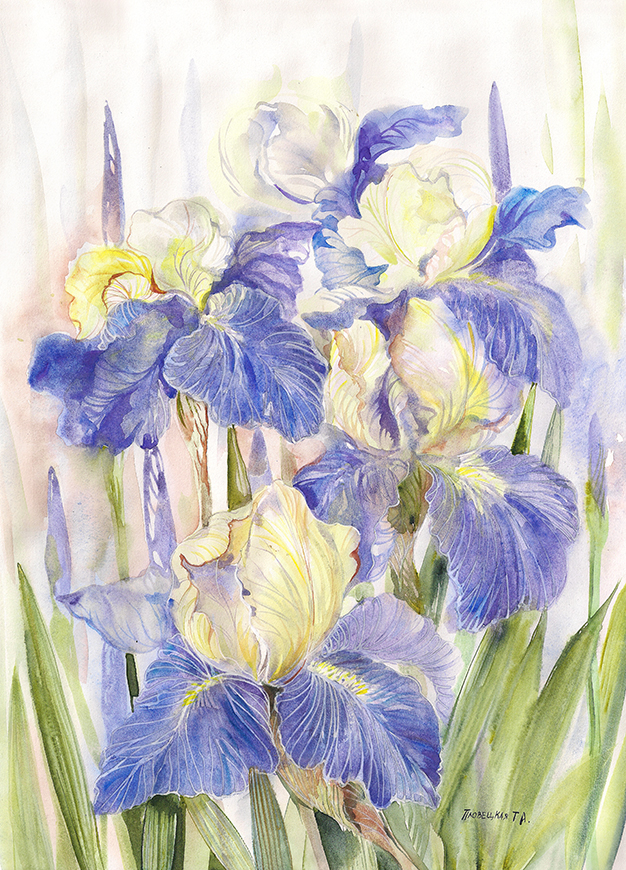 Цветы весны