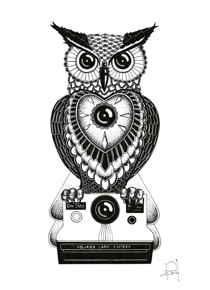 owl