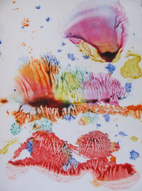 Красное море