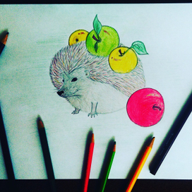 Удачная охота