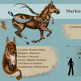 Референс на Марки