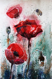 красные маки