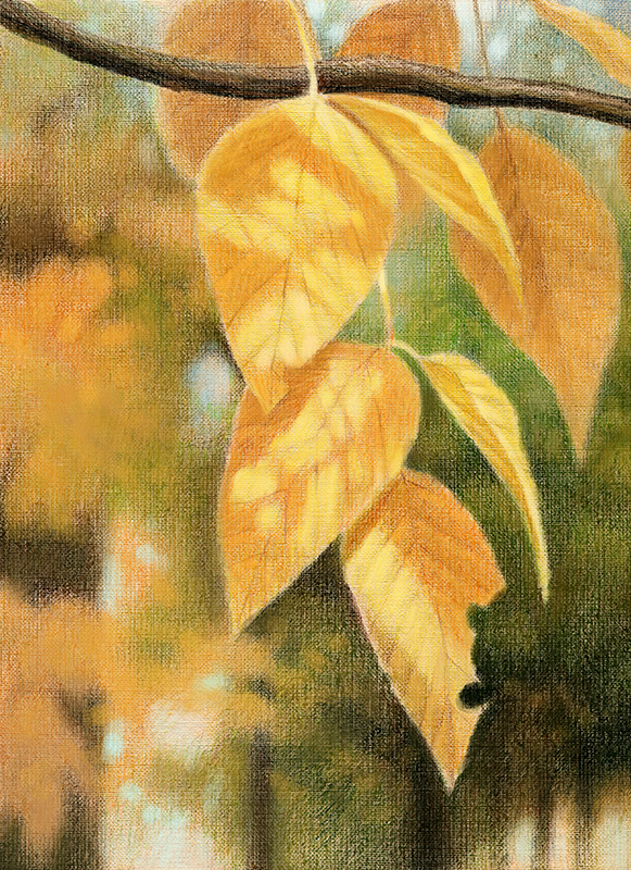 Осенние мотивы