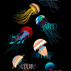 Jellyfish Universe