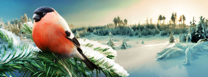 снегирь баннер