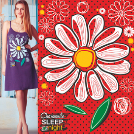 Ромашки спят ночью