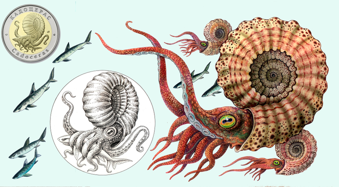 Кодацерас. Эскиз жетона для Московского Монетного Двора.