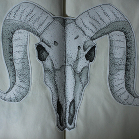 Череп. Дотворк