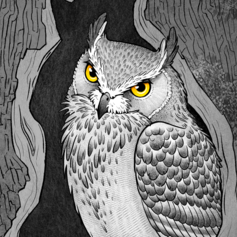 Ушастая сова в дупле