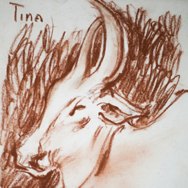 Отчаянные путешественники в Шри-Ланке