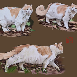 Котовьи зарисовки с натуры
