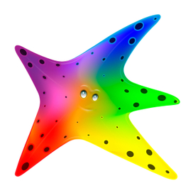 морская звезда