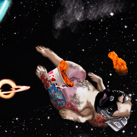 pug in the space