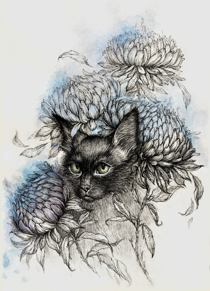 Цветочный кот