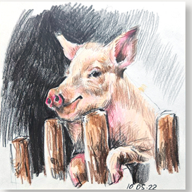 Животные и фрукты