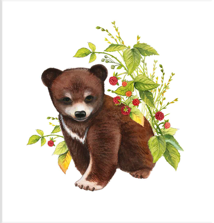 лето в лесу 2