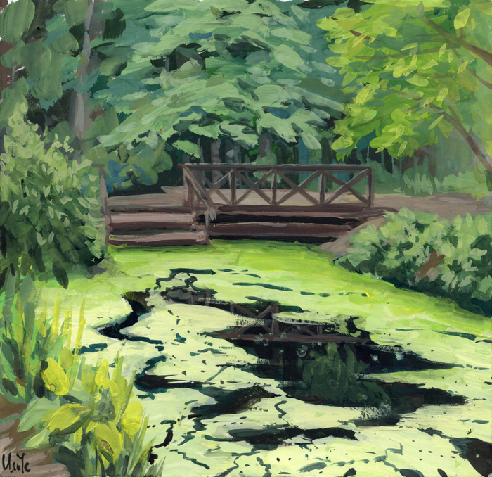 Лесной пруд