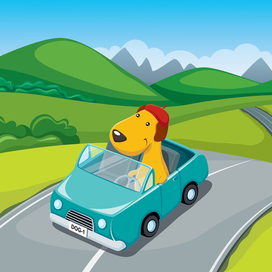 Собака-путешественник