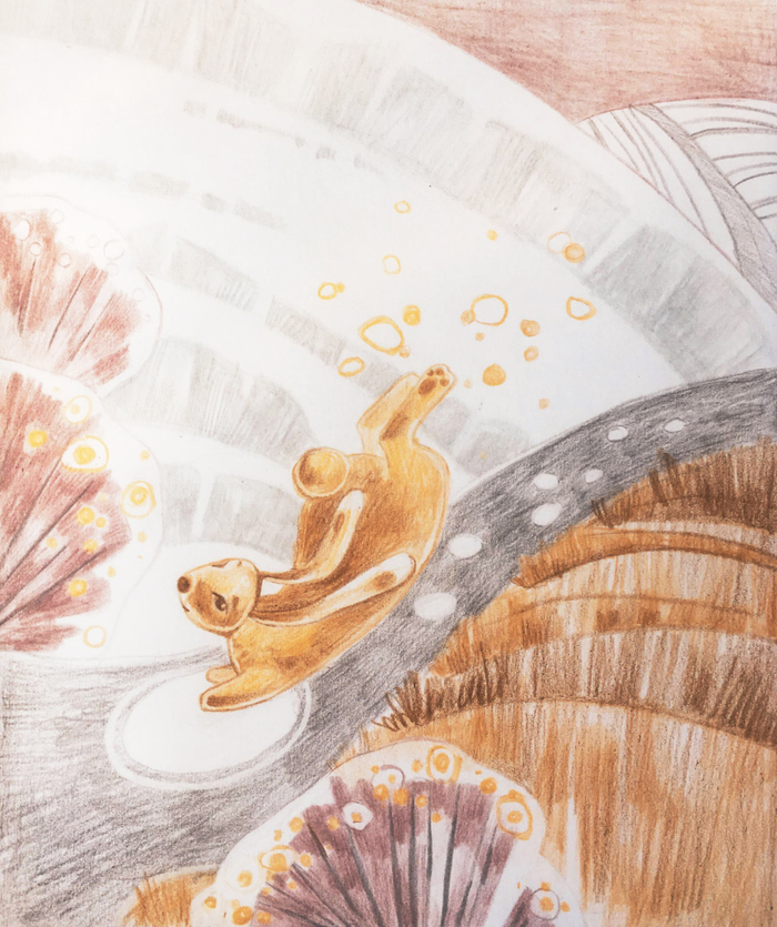 Солнечный зайчик