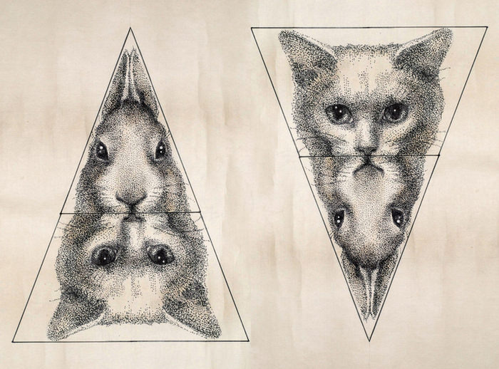 мои питомцы