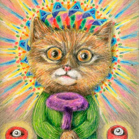 Свидетели Грибовые. Святой Держатель Грибной