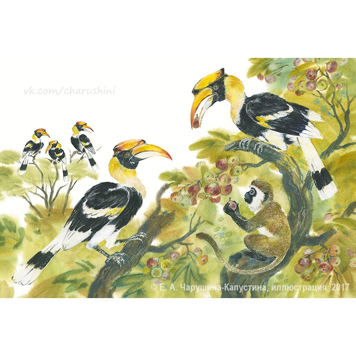 Разворот к моей дебютной книге "Мартышкины джунгли" 