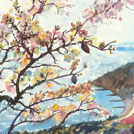 Дикий миндаль в романтике весны